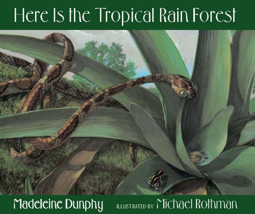 Here Is the Tropical Rain Forest (Web of Life, 1)
