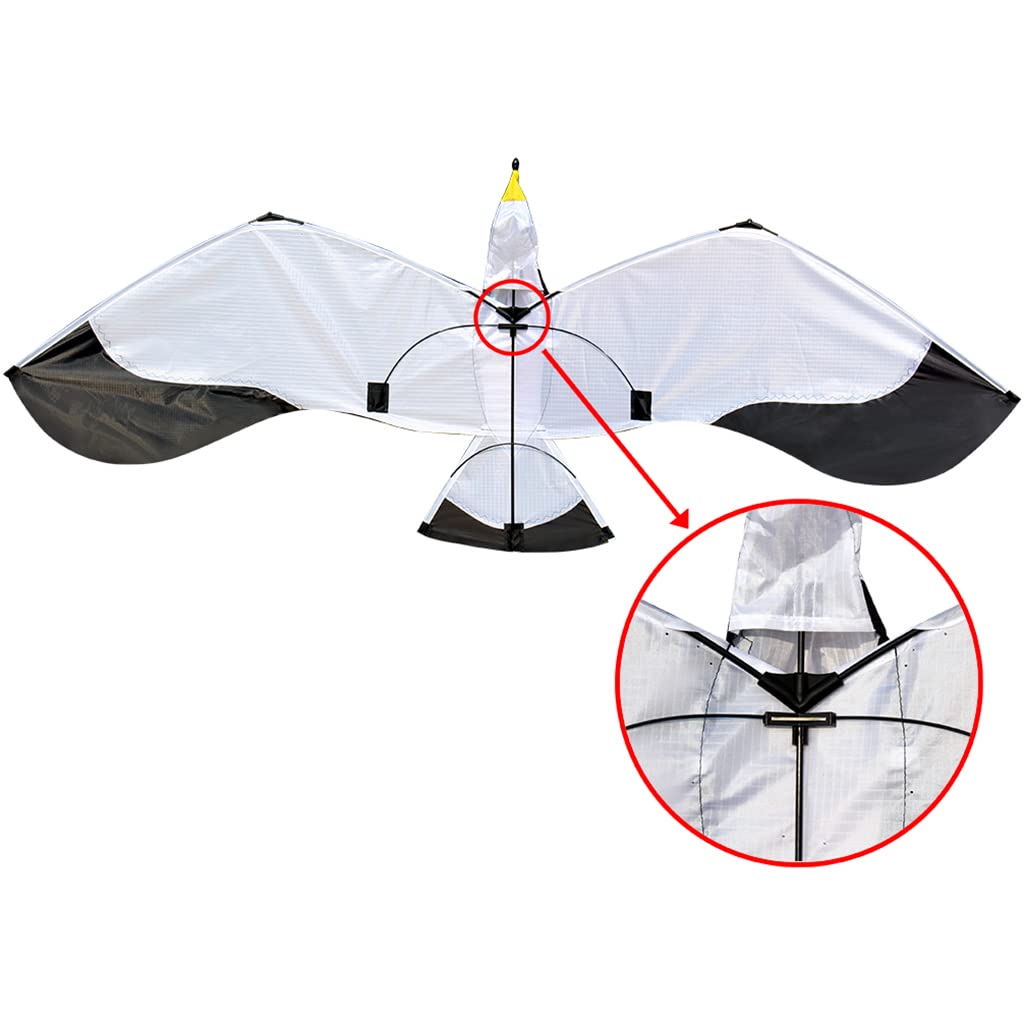 Lebendiger Möwen Drachen, Tier, Große Flügelspannweite, Einleiner Drachen für Outdoor Spiele, Flugspielzeug