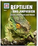 WAS IST WAS Band 20 Reptilien und Amphibien. Gecko, Grasfrosch und Waran (WAS IST WAS Sachbuch, Band 20) - Alexandra Rigos