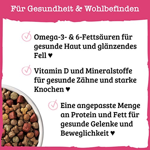 PURINA BENEFUL Kleine Genießer Hundefutter trocken für kleine Rassen, mit Rind, 6er Pack (6 x 1,4kg)