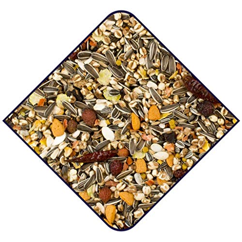 Witte Molen Expert Papageienfutter Grob 15 kg Futter für Aras und Großpapageien
