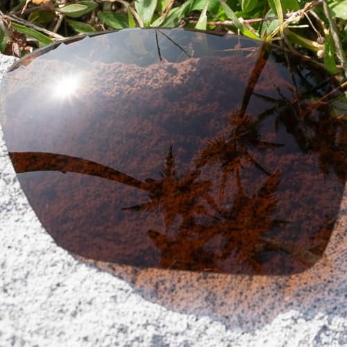 Image of Replacement Lenses for Oakley RPM Squared (OO9205 Series) Sunglasses