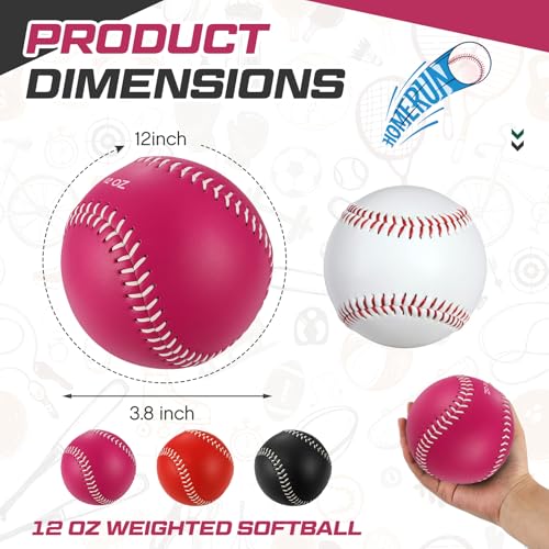 Image of Arrowbash Weighted Softball Training Balls Bulk Set