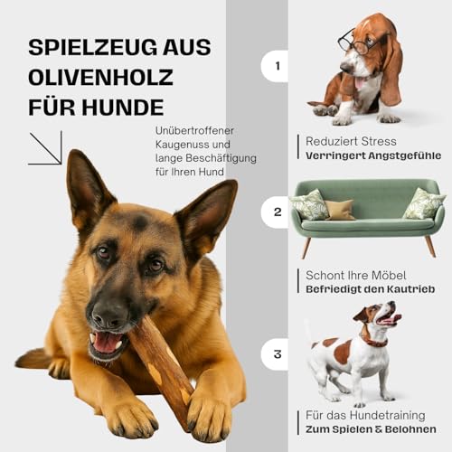 Olivenholz Kauknochen für Hunde – Kauholz & Hundespielzeug - Zahnpflege & langlebige Beschäftigung - Größe L (250–400g), Holzknochen - 2er Pack