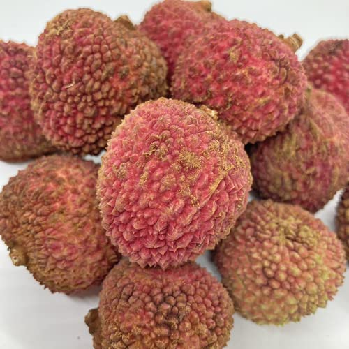 Amazon.co.jp: レイシ・ライチ苗 玉荷包種(ギョッカホウ種)取木苗