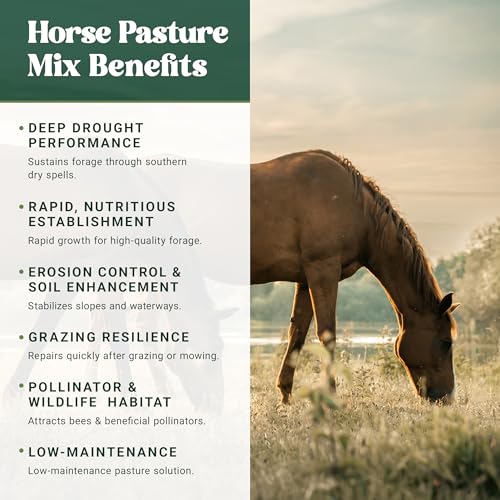 Forage Crop Seed Blends For Cattle Feed Temperate Climates