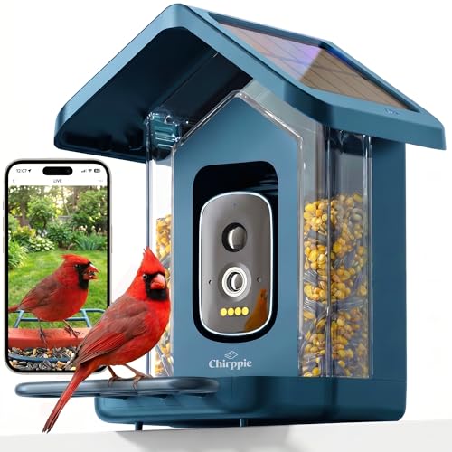 Solar Powered Smart Bird Feeder with Camera — 2K HD