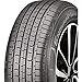 Cooper Discoverer EnduraMax All-Season 225/65R17 102H Tire