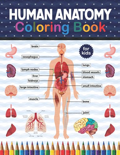 Human Anatomy Coloring Book For Kids: Human Body Student's Self-Test Coloring Book. Human Body Anatomy Coloring Book For Kids, Boys and Girls and ... Medical Book for Middle School Students.
