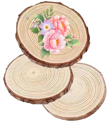 TAKONE Holzscheiben 20 cm Durchmesser – 3 Stück Große Runde...