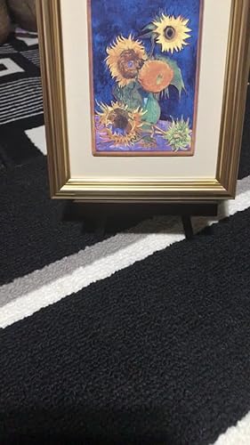 Amazon.co.jp: 大塚国際美術館 陶板 額装品A ｢幻のヒマワリ