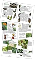 Learning From Monarchs: A Teachers' Handbook 0965747271 Book Cover