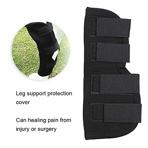 Coprigambe per Cani, Custodia Protettiva per