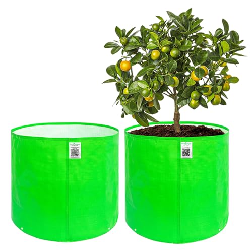 Image of Anandi Green's Premium HDPE Uv Protected 220 GSM Round Shaped Green Colour Plants Grow Bags Suitable for Terrace and Vegetable Gardening (Pack of 2, 18x18 INCH)