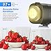 Neewer 60W LED Video Light White 5600K Version Continuous Lighting, CRI 95+with Remote Control, Bowens Mount for Video Recording, Portrait Photography, Outdoor Shooting