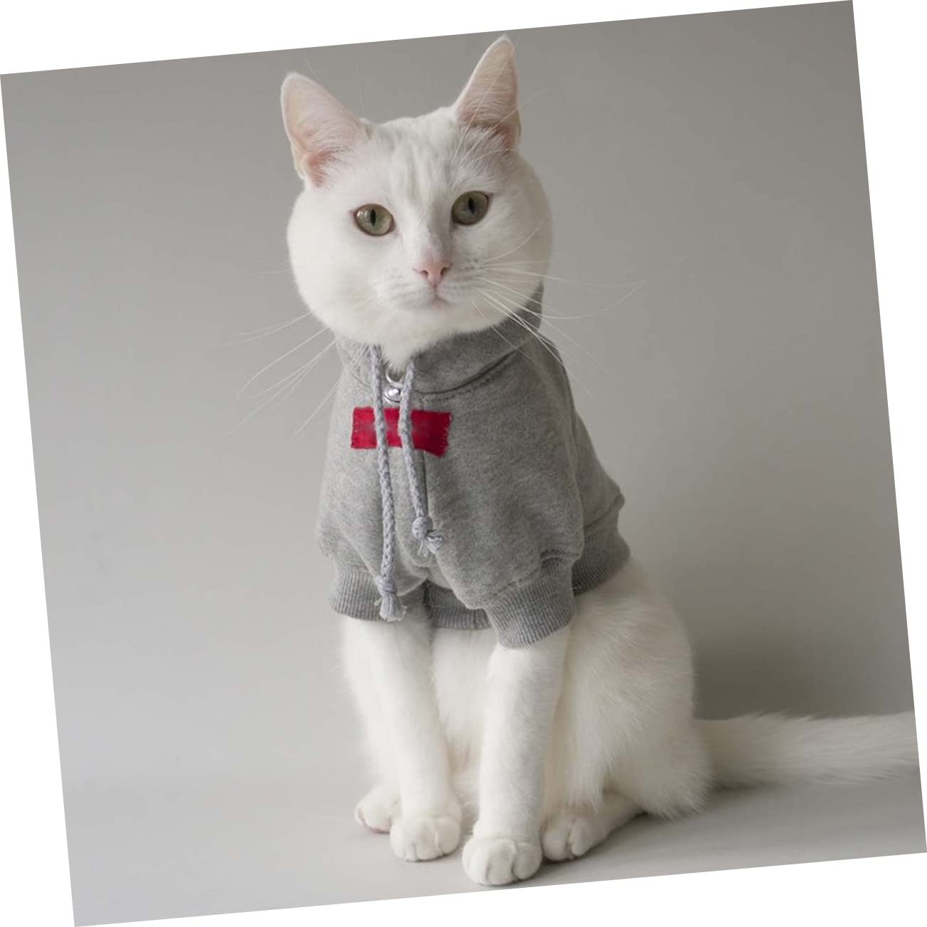 Mikikit 10pcs Bells for Collars Accessories for Dogs Cats Puppies and Kittens Sound for Tracking Small Pets