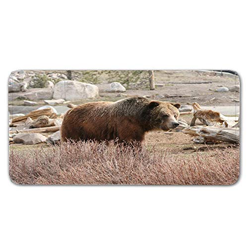 FAIEK Alfombras De Pasillo Grizzly Sol Largas Moquetas Largo Entrada Felpudos Patrón 3D Anti-desvanecimiento Anti-Sucio Aplicar para Ventana De Bahia Dormitorio Sala Lavable Cortable 50x80cm