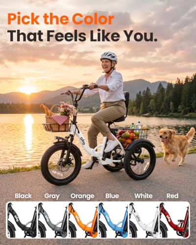 Qlife Folding Electric Trike