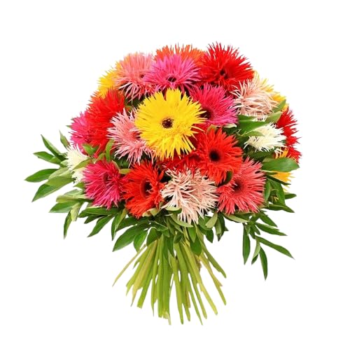 Ramo de Margaritas Gerbera Naturales con 20 Flores de Temporada
