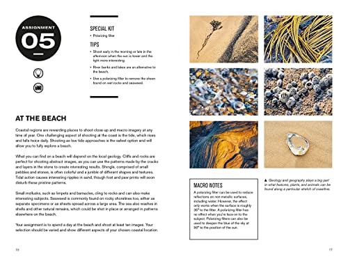 52 Assignments: Macro Photography - Image 3