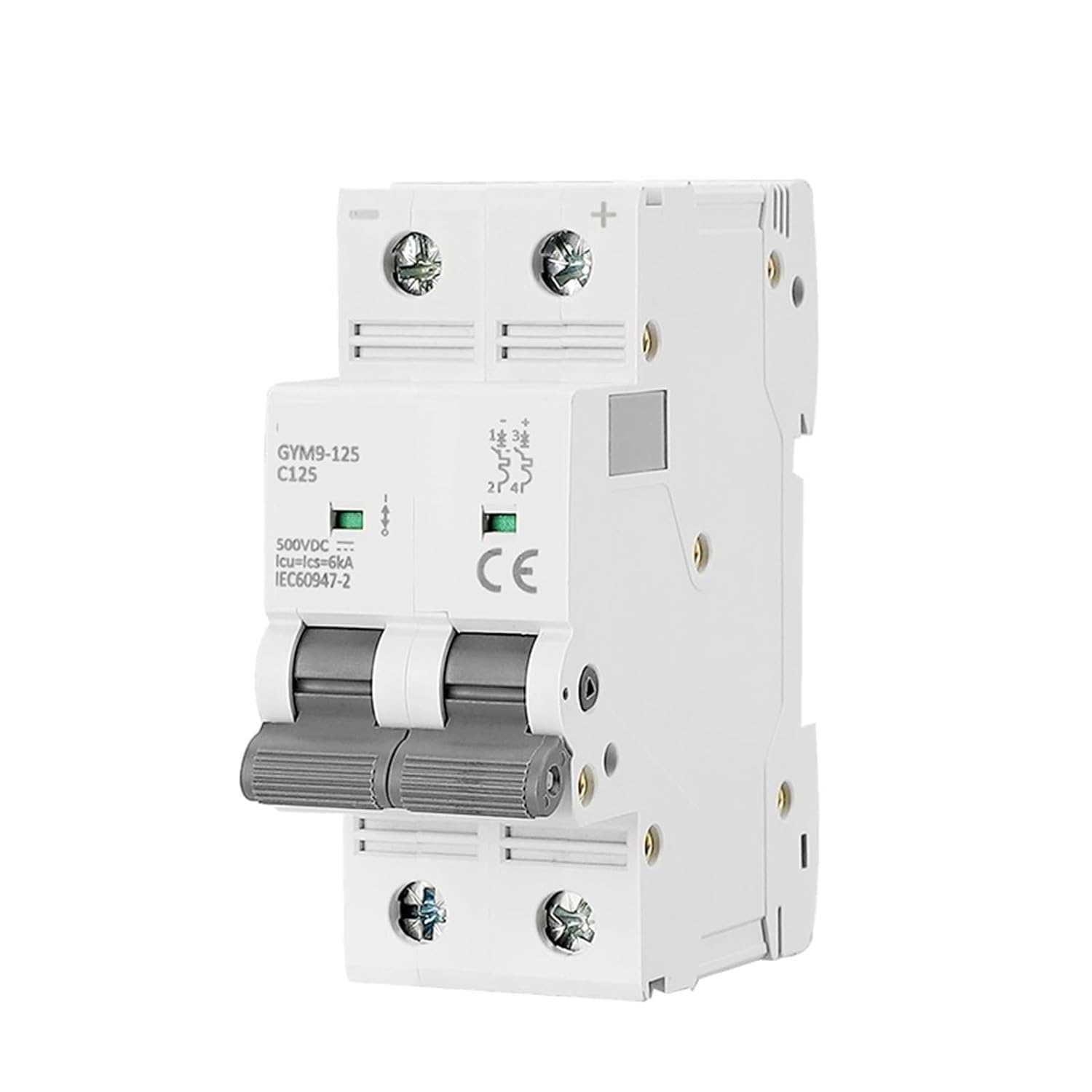 2RD58I8PM Circuit Breaker GYM9-125 DC MCB 2Pole 500VDC Mini 80A 100A 125A 6KA 1Pcs(80A)