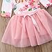 Baby Girls' 1st Birthday Tutu Dress Sleeveless Floral Romper Top Lace Skirt Clothes Easter Outfit 2Pcs (Pink-Long Sleeve, 6-12 Months)
