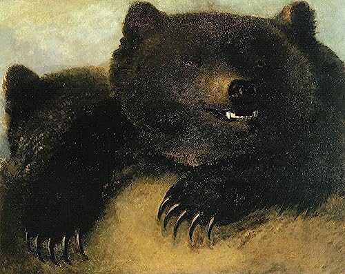 Peinture sur Toile Nordique George Catlin prestige pour décoration de chambre