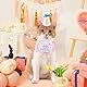 Kunyeah 2-teiliges Haustier-Hut-Schal-Set, niedlich, bestickt, Katze, Bandana, Outfit, Haustier-Schleife, Kegelhut, Katze, Karomuster, Prinzessinnen-Kostüme, Hunde-Lätzchen, Haustier-Partyzubehör,