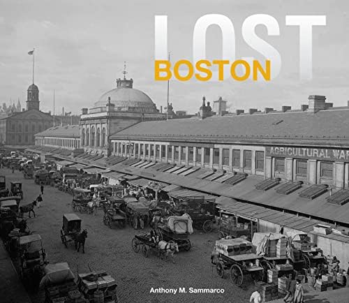 Lost Boston Hardcover – May 1, 2014