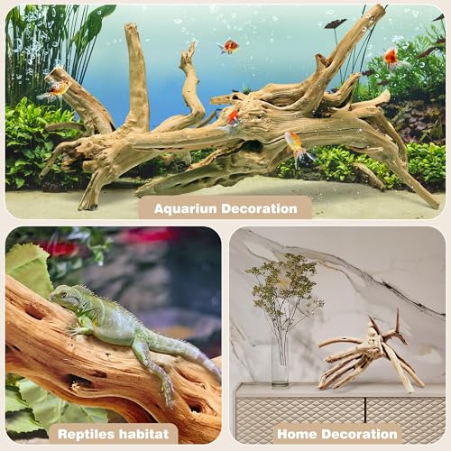 Image of WDEFUN Natural Spiderwood for Aquarium Decor 7-Piece 4''-8'' Long Natural Driftwood Branches for Fish Tank Decorations