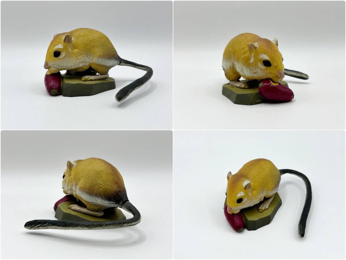 Amazon | 海洋堂レッドデータ アニマルズ オオカンガルーネズミ @動物