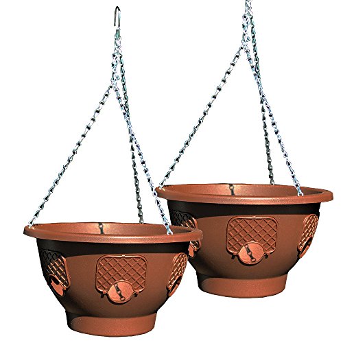 smart spring Ultimate Hanging Baskets - Strawberry, Tomato, Flower, and Herb Outdoor Planters - Use Garden Pots for Growing Plants Outside On A Deck, Fence, or Balcony (Mocha 2pk)