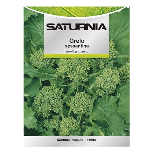 Semillas Grelo Brocoli (10 gramos) Semillas Verduras, Horticultura, Horticola, Semillas Huerto.