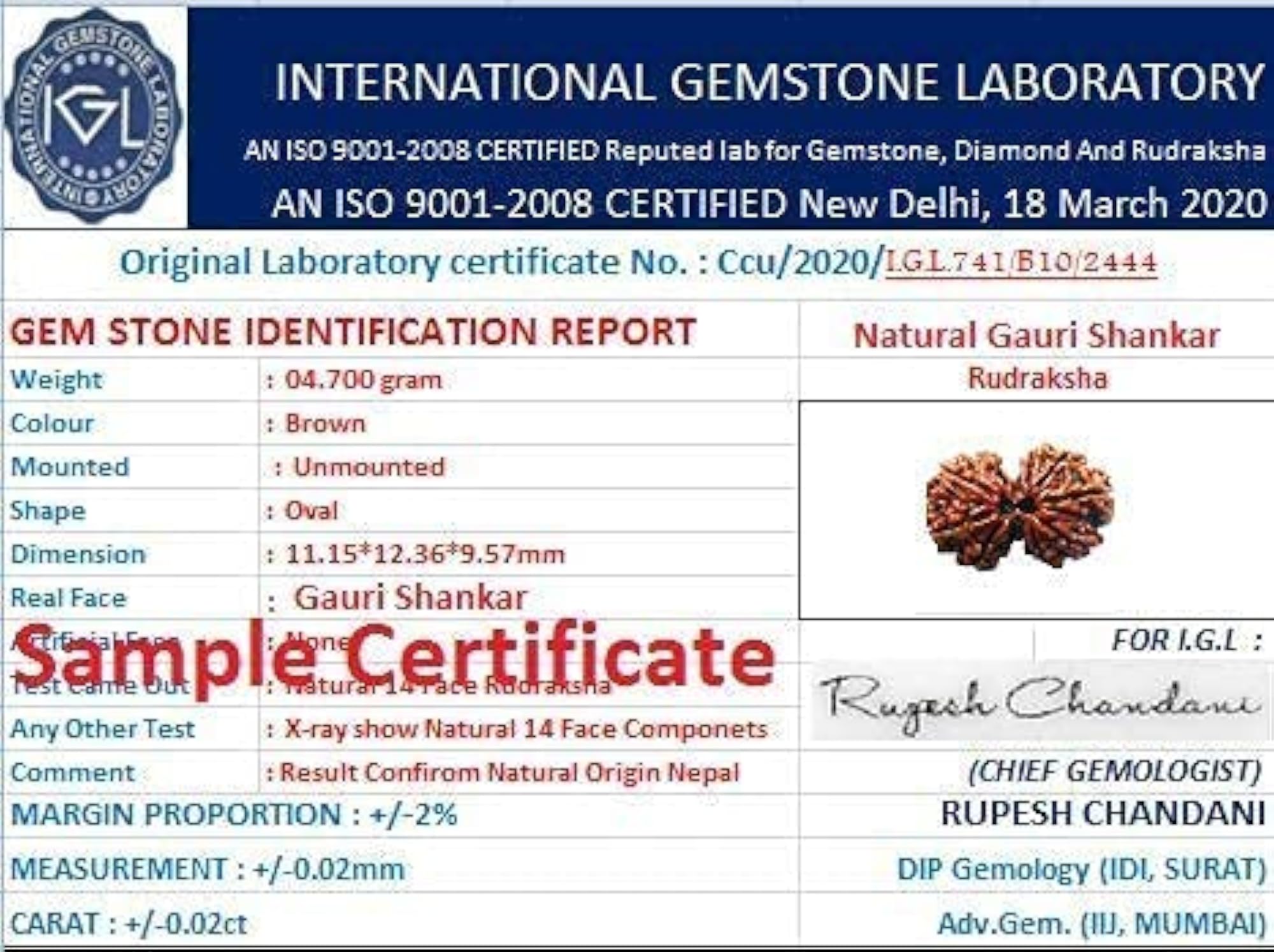 Gauri Shankar Natural Nepal Rudraksha Beads with Silver Pendant