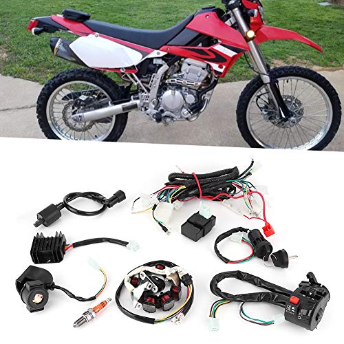 Motos, Automotive Parts and Accessories motos 300cc Marca Aramox (3)