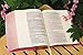 NIV, Artisan Collection Bible, Cloth over Board, Pink, Art Gilded Edges, Red Letter, Comfort Print