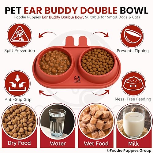 Image of Foodie Puppies Pet Feeding Tilted Cat Bowl - (Ear Buddy Double Bowl) | Durable, Anti Vomiting, Healthy Cat Feeder for Persian Cat Prevent Tipping Over | Feeder for Cats, Kittens & Puppies