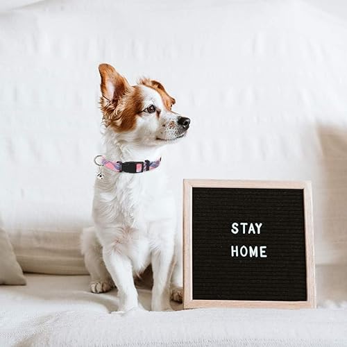 Miniatura 8 de PUPTECK - Arnés y correa ajustable, sin tirones, para perro pequeño y mediano, cachorros y gatos, adiestramiento y paseo al aire libre, chaleco