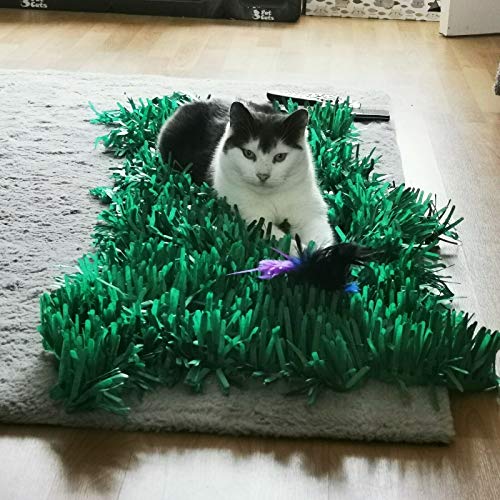 grass mat for cats