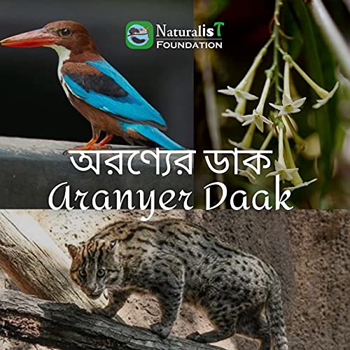 অরণ্যের ডাক