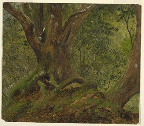 Impression d'art tableau dans les bois de la Jamaïque toile premium de 60x90cm