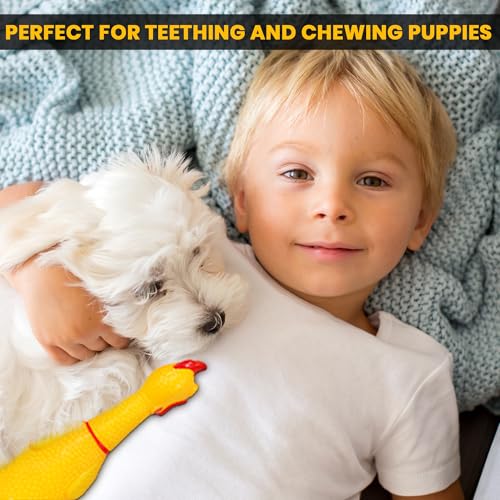 Image of POLKA Latex Chicken Squeaky Toy for Dogs - Funny Rubber Chew Toy with Loud Sound - Reduce Separation Anxiety Toys for Dogs & Puppy - Interactive Pet Toy for Play & Training