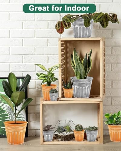 vensovo-5-Inches-Silver-Metal-Rustic-Flower-Pots-6-Pcs-Small-Galvanized-Planters-with-Drainage-Hole-and-Rubber-Plug-Rustproof-Tin-Bucket-Plant-Pot-Farmhouse-Vintage-Style-for-Decor vensovo 5 Inches Silver Metal Rustic Flower Pots 6 Pcs Small Galvanized Planters with Drainage Hole and Rubber Plug Rustproof Tin Bucket Plant Pot Farmhouse Vintage Style for Decor