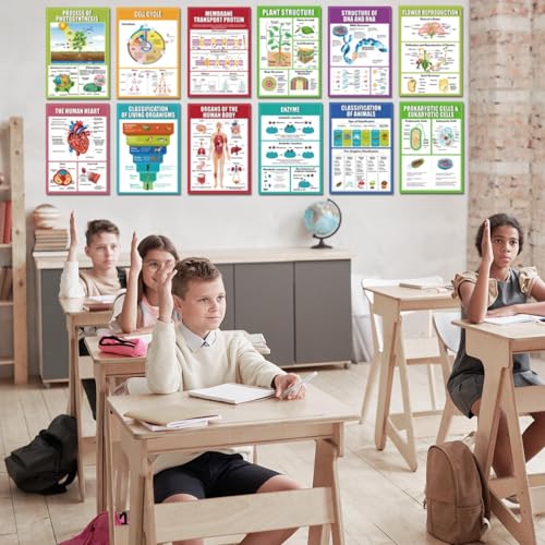Image of EggSun 16 Pcs Biology Science Posters for High School Classroom Decorations, 11 x 16in Life Science Poster Charts for Teachers Middle School Supplies Education Classroom Bulletin Board Wall Decor