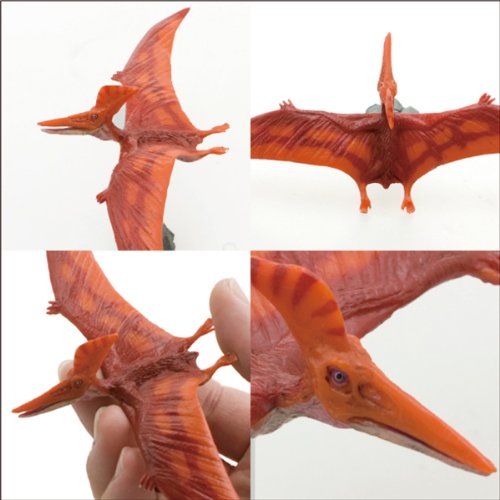 プテラノドン★翼竜　フィギュア★フェバリットコレクション★恐竜　フィギュア Amazon.co.jp: 全幅144cm！プテラノドン（翼竜）中型フィギュア
