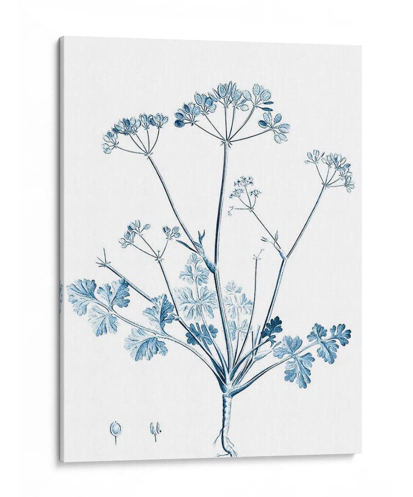 Canvas Lab | Antique Botanical in Blue IV by Vision Studio | 36 x 48 in | Canvas Print Wall Art | Botanical, Floral, Nature | Wall Decor for Bedroom, Living Room or Office