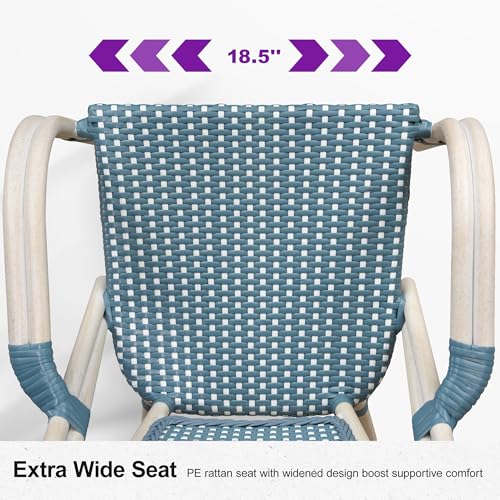 Image of PURPLE LEAF French Bistro Armchairs Set of 4, White Finish, Light Blue