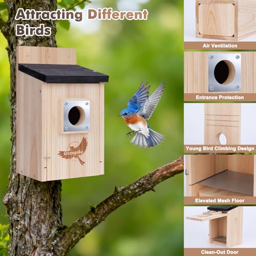 image for Gtongoko 2 Pack Bird Houses for Outside Clearance with Metal Predator 