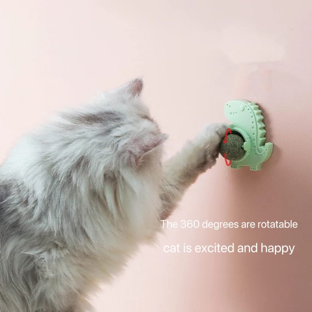 Catnip Toy