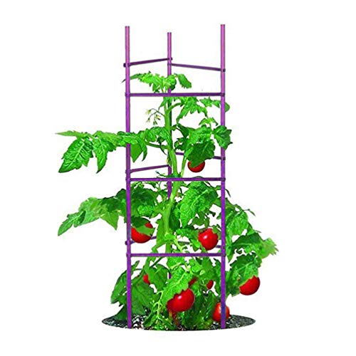 Growsun 5-ft 6-Pack Purple Tomato Supports Cage Plant Garden Stakes for Cucumber Fences Beans, 40 Counts Clips Include
